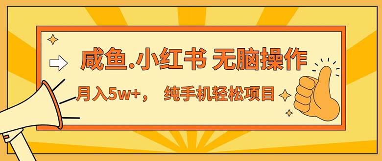 （11524期）2024最赚钱的项目，咸鱼，小红书无脑操作，每单利润500+，轻松月入5万+…-川川创富网