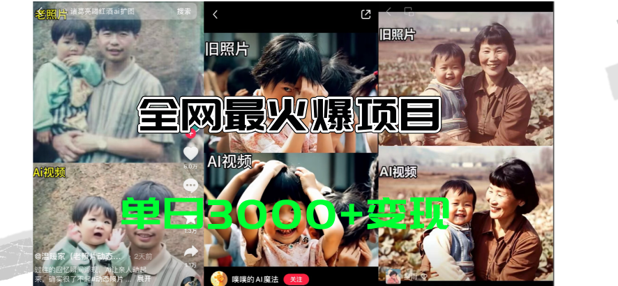 （11546期）全网爆火的AI让老照片动起来教程，蹭热点日赚3000+，内含免费工具一键…-川川创富网