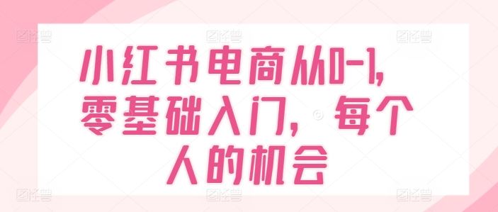 小红书电商从0-1，零基础入门，每个人的机会-川川创富网
