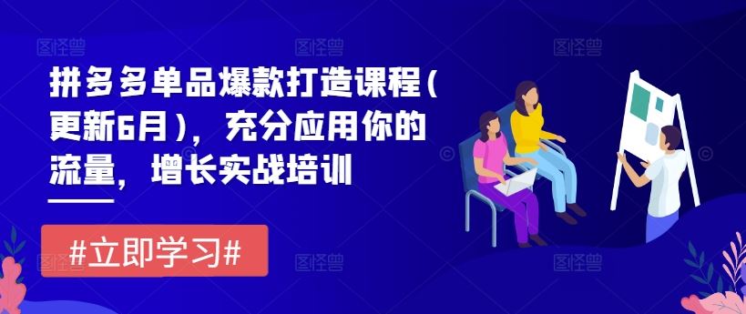 拼多多单品爆款打造课程(更新6月)，充分应用你的流量，增长实战培训-川川创富网