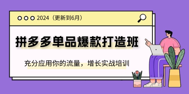 （11556期）2024拼多多-单品爆款打造班(更新6月)，充分应用你的流量，增长实战培训-川川创富网