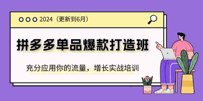2024拼多多单品爆款打造班，充分应用你的流量，增长实战培训(更新6月)-川川创富网