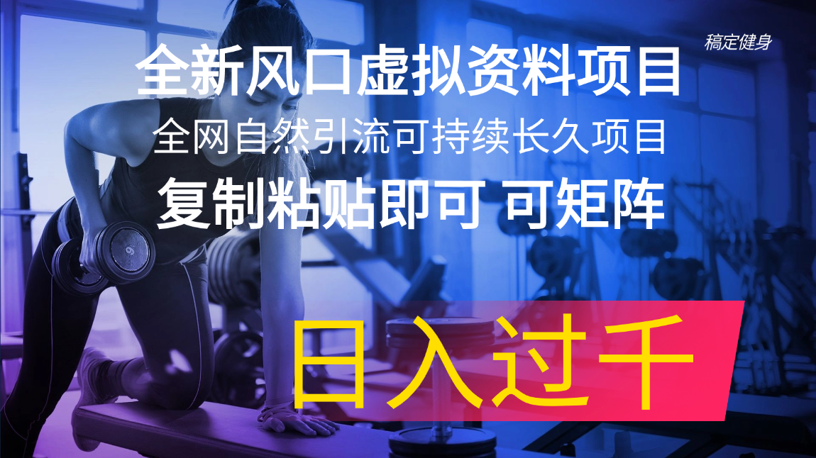 （11587期）全新风口虚拟资料项目 全网自然引流可持续长久项目 复制粘贴即可可矩阵…-川川创富网