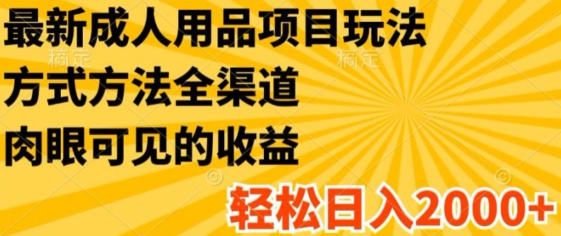 最新成人用品项目玩法，方式方法全渠道，轻松日入2K+【揭秘】-川川创富网