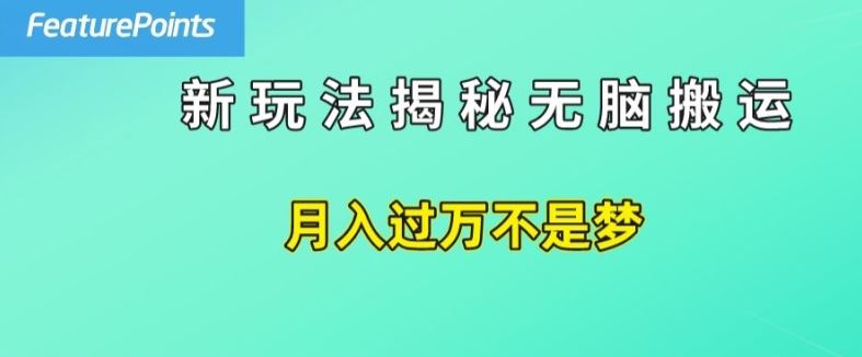 简单操作，每天50美元收入，搬运就是赚钱的秘诀【揭秘】-川川创富网