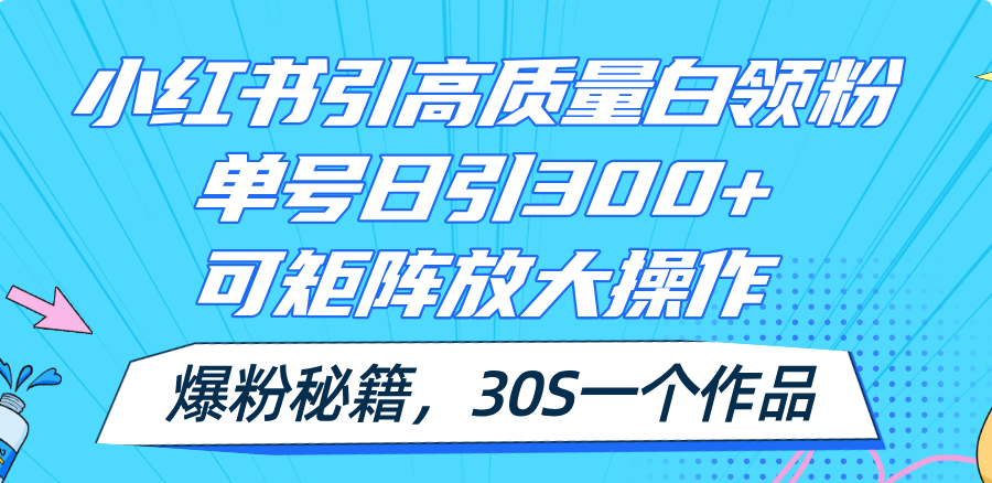 （11692期）小红书引高质量白领粉，单号日引300+，可放大操作，爆粉秘籍！30s一个作品-川川创富网
