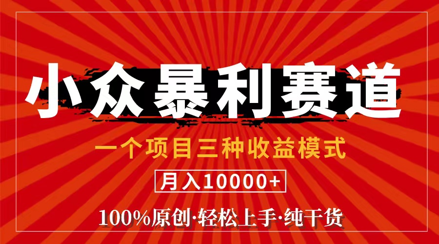（11695期）视频号【中老年粉深信不疑】小众赛道 100%原创 手把手教学 新号3天收益…-川川创富网