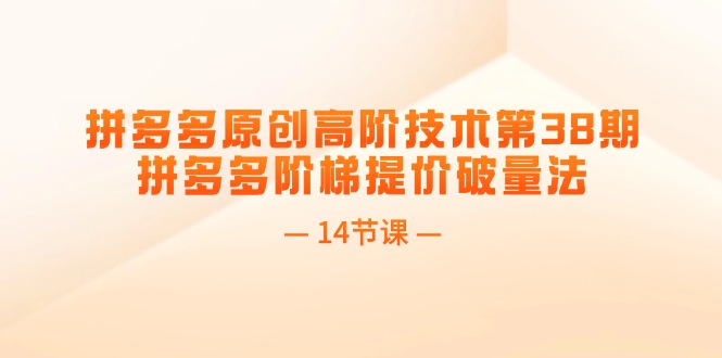 （11704期）拼多多原创高阶技术第38期，拼多多阶梯提价破量法（14节课）-川川创富网