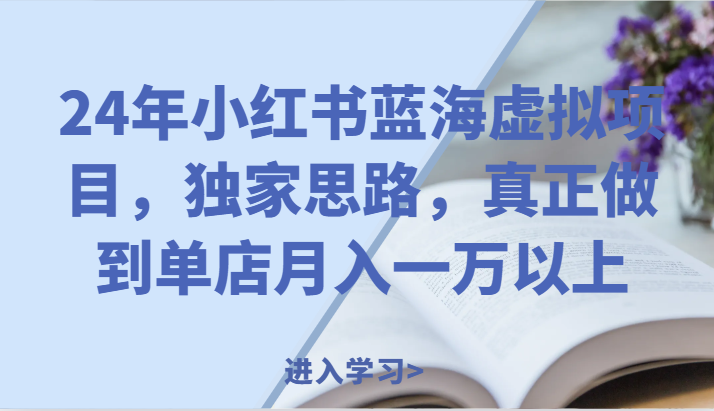 24年小红书蓝海虚拟项目，独家思路，真正做到单店月入一万以上。-川川创富网