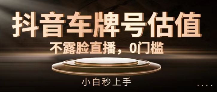 抖音车牌号估值，不露脸直播，0门槛，小白秒上手【揭秘】-川川创富网