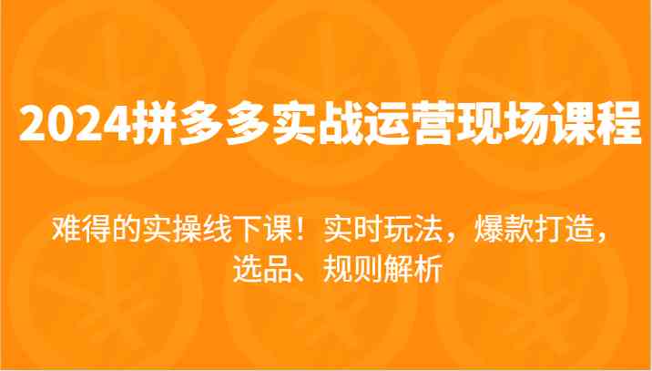 2024拼多多实战运营现场课，实时玩法，爆款打造，选品、规则解析，难得的实操线下课！-川川创富网