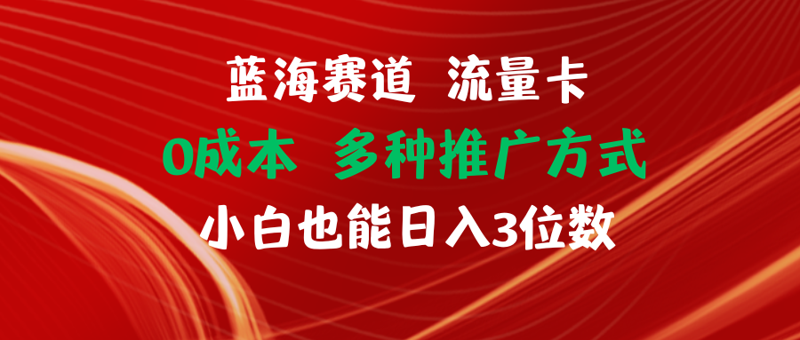 （11768期）蓝海赛道 流量卡 0成本 小白也能日入三位数-川川创富网
