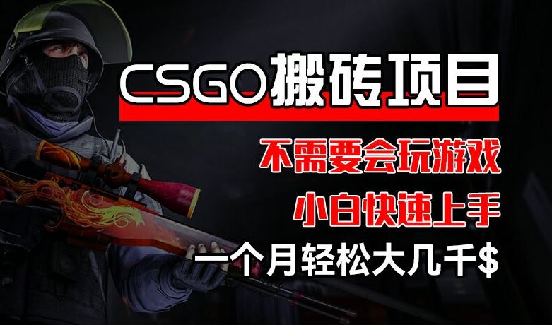 CSGO 装备搬砖项目，操作简单，不需要会玩游戏，小白也能快速上手，一个月轻松大几千【揭秘】-川川创富网