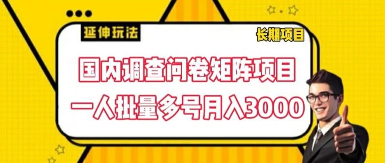 国内调查问卷矩阵项目，一人批量多号月入3000【揭秘】-川川创富网