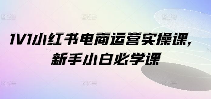 1V1小红书电商运营实操课，新手小白必学课-川川创富网