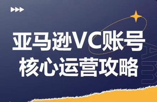 亚马逊VC账号核心玩法解析，实战经验拆解产品模块运营技巧，提升店铺GMV，有效提升运营利润-川川创富网