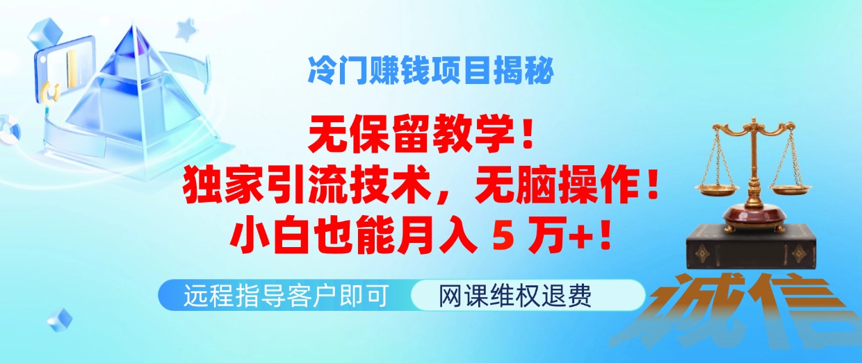 （11864期）冷门赚钱项目无保留教学！独家引流技术，无脑操作！小白也能月入5万+！-川川创富网