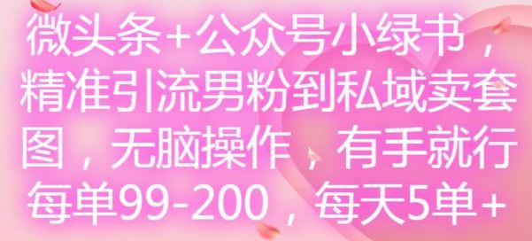 微头条+公众号小绿书，精准引流男粉到私域卖套图，无脑操作，有手就行，每单99-200，每天5单-川川创富网