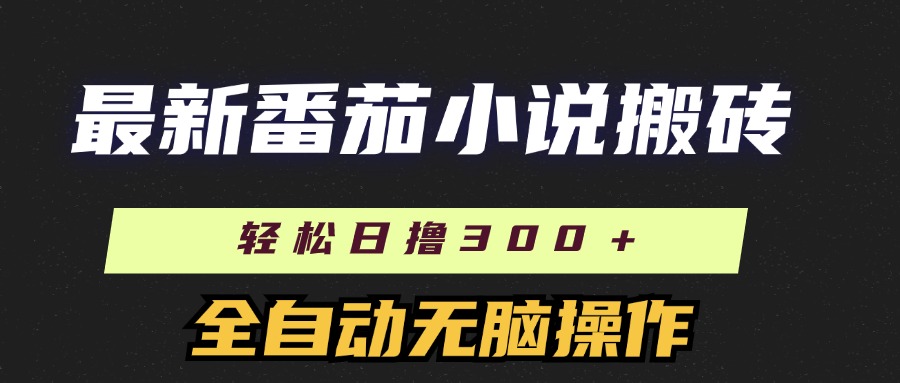 （11904期）最新番茄小说搬砖，日撸300＋！全自动操作，可矩阵放大-川川创富网