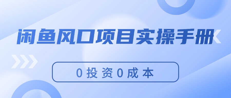 （11923期）闲鱼风口项目实操手册，0投资0成本，让你做到，月入过万，新手可做-川川创富网