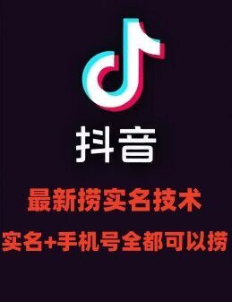 最新技术抖音捞实名+捞手机号技术，抖音直播封禁释放十名/手机号，直接替换出来!-川川创富网