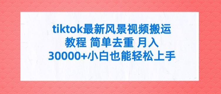 tiktok最新风景视频搬运教程 简单去重 月入3W+小白也能轻松上手【揭秘】-川川创富网