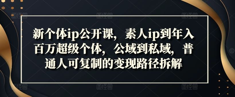 新个体ip公开课，素人ip到年入百万超级个体，公域到私域，普通人可复制的变现路径拆解-川川创富网