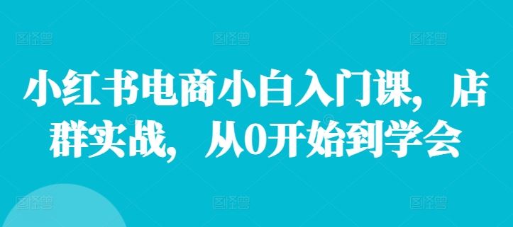 小红书电商小白入门课，店群实战，从0开始到学会-川川创富网