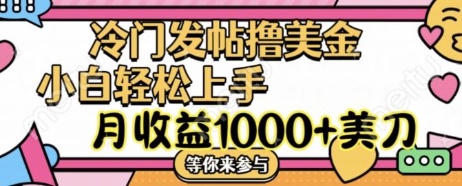 冷门发帖撸美金项目，月收益1000+美金，简单无脑，干就完了【揭秘】-川川创富网