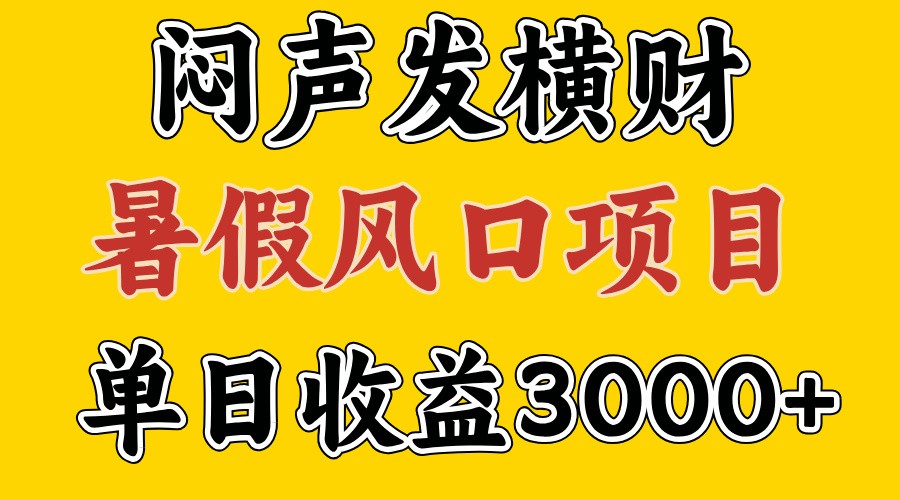 30天赚了7.5W 暑假风口项目，比较好学，2天左右上手-川川创富网