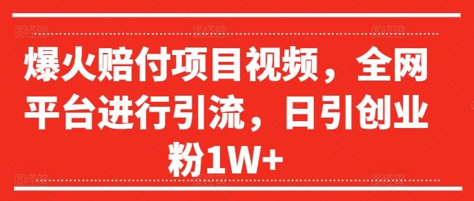 爆火赔付项目视频，全网平台进行引流，日引创业粉1W+【揭秘】-川川创富网