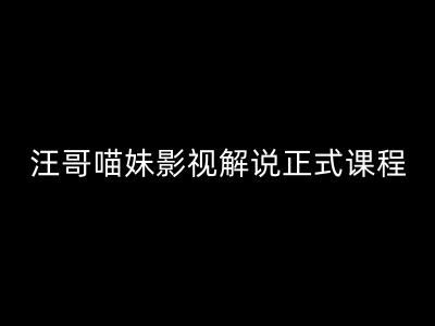 汪哥影视解说正式课程：剪映/PR教学/视解说剪辑5大黄金法则/全流程剪辑7把利器等等-川川创富网
