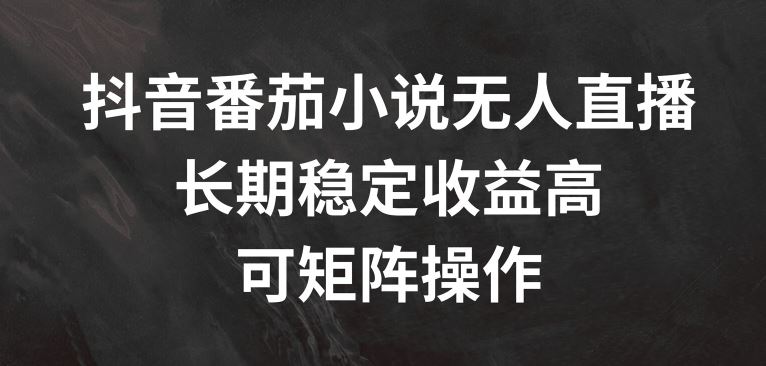 抖音番茄小说无人直播，长期稳定收益高，可矩阵操作【揭秘】-川川创富网