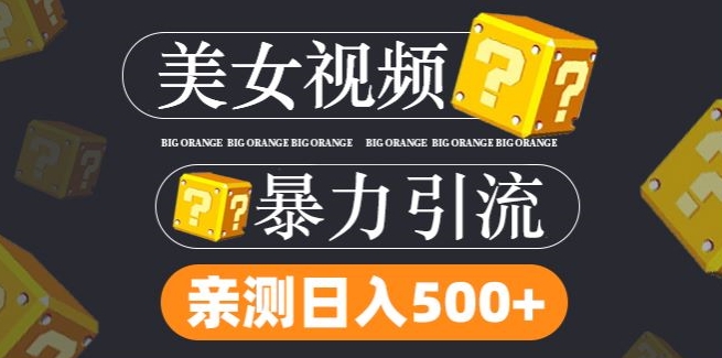 搬运tk美女视频全网分发，日引s粉300+，轻松变现，不限流量不封号-川川创富网