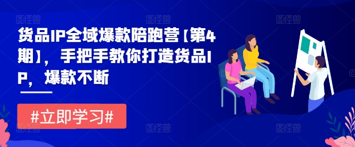 货品IP全域爆款陪跑营【第4期】，手把手教你打造货品IP，爆款不断-川川创富网