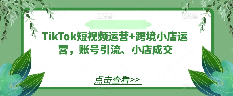 TikTok短视频运营+跨境小店运营，账号引流、小店成交-川川创富网