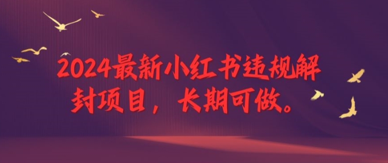 2024最新小红书违规解封项目，长期可做，一个可以做到退休的项目-川川创富网