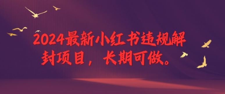 2024最新小红书违规解封项目，长期可做，一个可以做到退休的项目【揭秘】-川川创富网