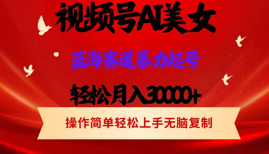 （12178期）视频号AI美女跳舞，轻松月入30000+，蓝海赛道，流量池巨大，起号猛，当…-川川创富网