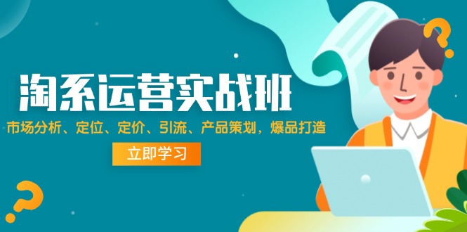 （12186期）淘系运营实战班：市场分析、定位、定价、引流、产品策划，爆品打造-川川创富网