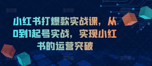 小红书打爆款实战课，从0到1起号实战，实现小红书的运营突破-川川创富网