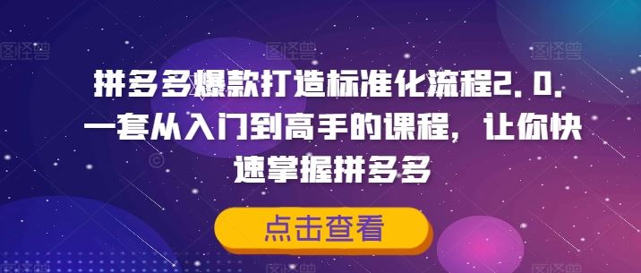 拼多多爆款打造标准化流程2.0，一套从入门到高手的课程，让你快速掌握拼多多-川川创富网