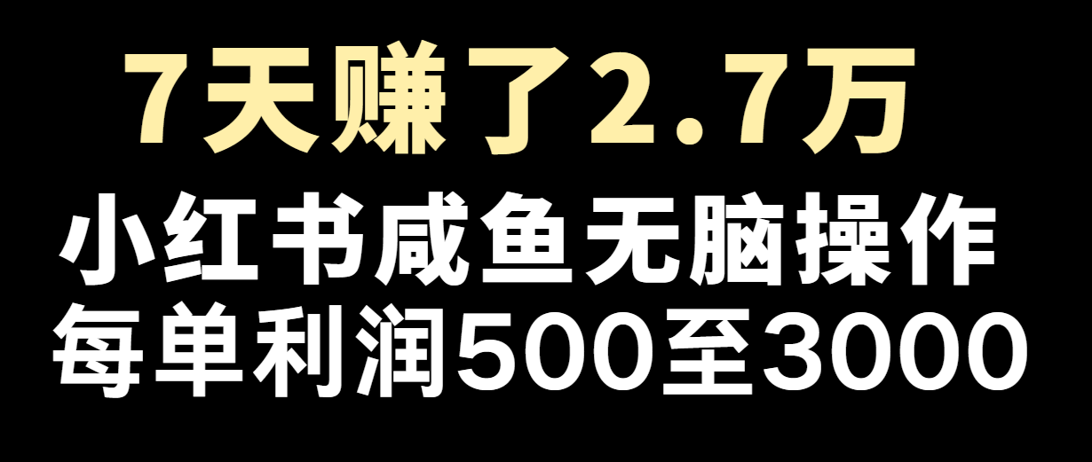 七天赚了2.7万！每单利润最少500+，轻松月入5万+小白有手就行-川川创富网