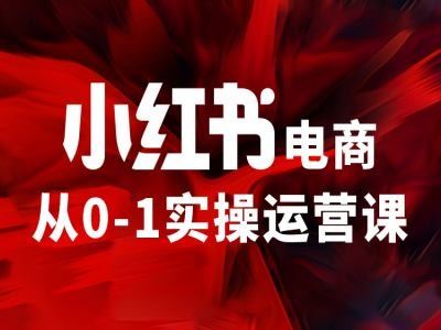 小红书电商从0-1实操运营课，让你从小白到精英-川川创富网