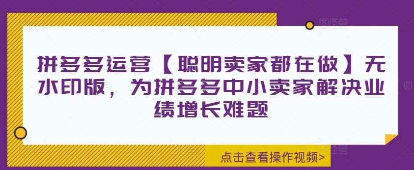 拼多多运营【聪明卖家都在做】无水印版，为拼多多中小卖家解决业绩增长难题-川川创富网