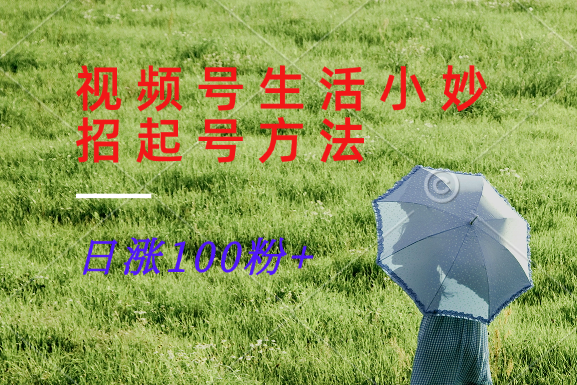 视频号生活小妙招分享赛道， 起号涨粉新方法，日涨100粉-川川创富网