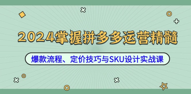 2024掌握拼多多运营精髓：爆款流程、定价技巧与SKU设计实战课-川川创富网