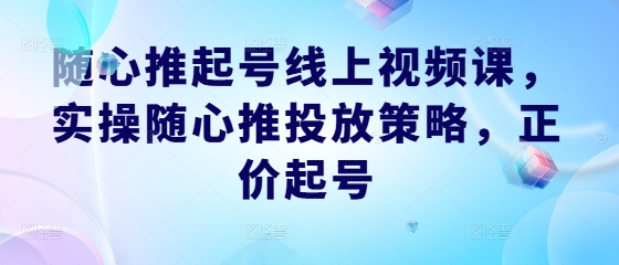 随心推起号线上视频课，实操随心推投放策略，正价起号-川川创富网