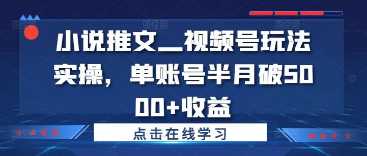 小说推文—视频号玩法实操，单账号半月破5000+收益-川川创富网