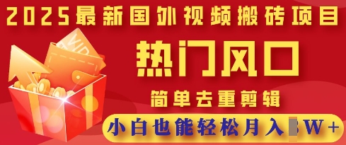 2025最新视频搬砖项目，热门风口，简单去重剪辑，小白也能轻松月入过W-川川创富网